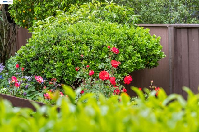 4473 Hillsborough Dr, Castro Valley, CA 94546