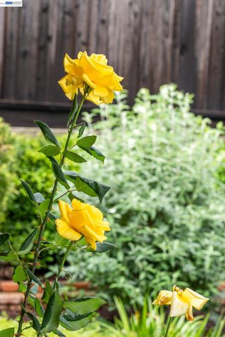 4473 Hillsborough Dr, Castro Valley, CA 94546