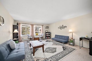 10211 Cedar Lake Road 204, Minnetonka, MN 55305