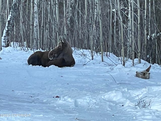 11118 S Knik Goose Bay Road, Wasilla, AK 99623