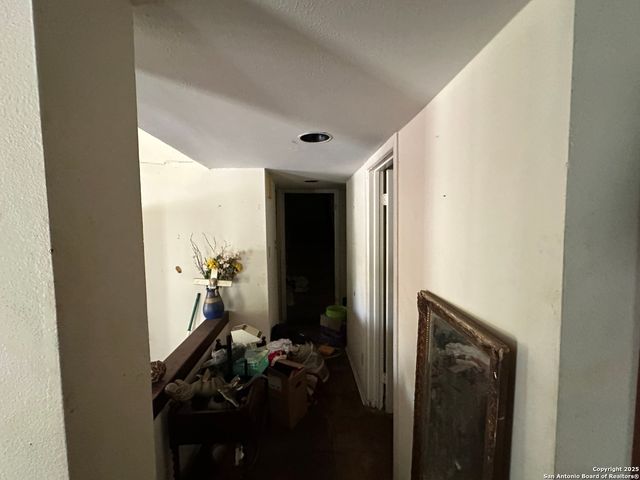 11818 BUTTON WILLOW CV, San Antonio, TX 78213