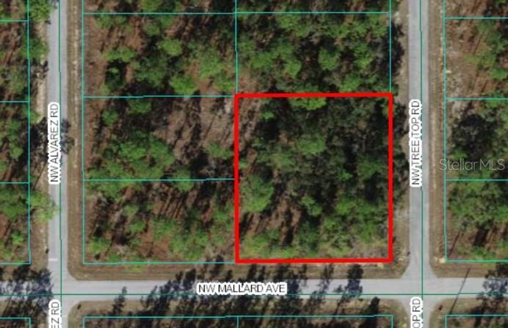 0 TREETOP ROAD, Dunnellon, FL 34431