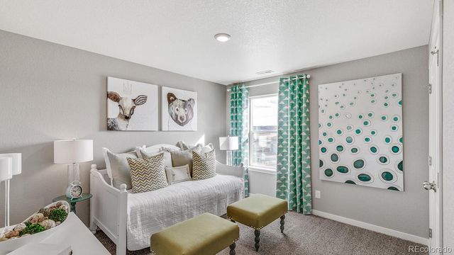 811 N Deer Park Street, Watkins, CO 80137