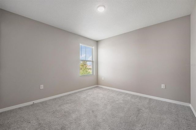 12857 TANNENCREST DRIVE, Riverview, FL 33579