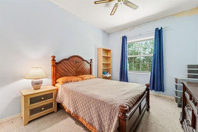 7210 WAREHAM DRIVE, Tampa, FL 33647