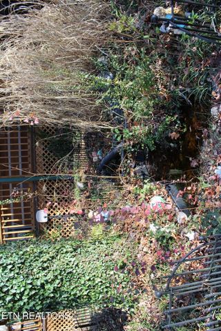 2510 Tinchtown Rd, Jamestown, TN 38556