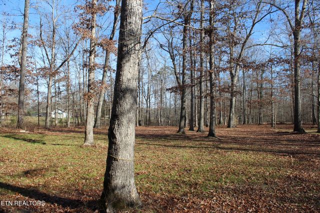 2510 Tinchtown Rd, Jamestown, TN 38556