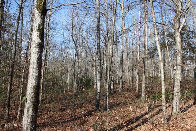 2510 Tinchtown Rd, Jamestown, TN 38556