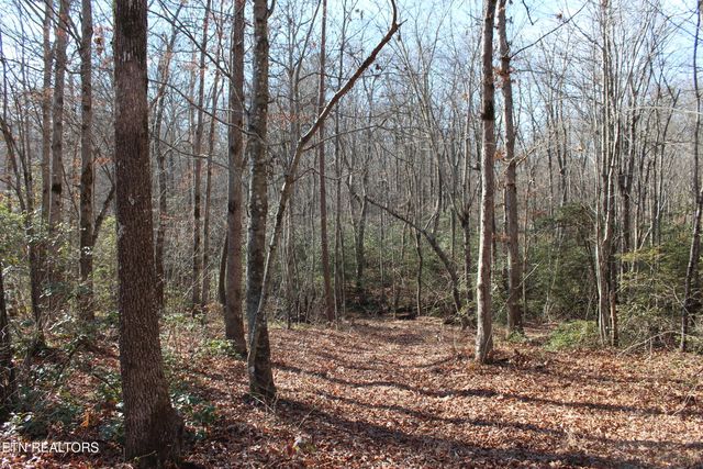 2510 Tinchtown Rd, Jamestown, TN 38556