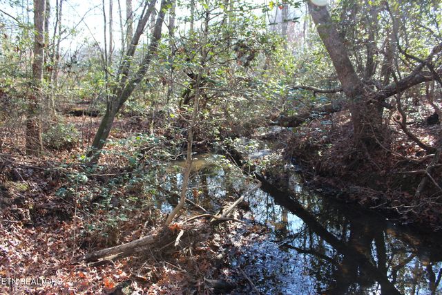 2510 Tinchtown Rd, Jamestown, TN 38556