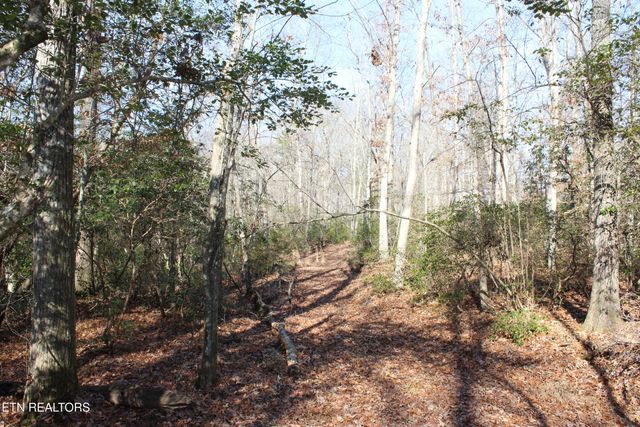 2510 Tinchtown Rd, Jamestown, TN 38556