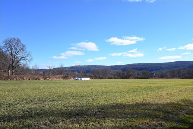 158 Dingman Hill Road, Bainbridge, NY 13733