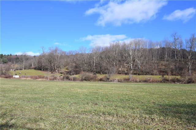 158 Dingman Hill Road, Bainbridge, NY 13733