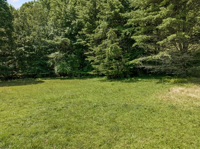 Lot 8 Tipton Court, Cherry Log, GA 30522