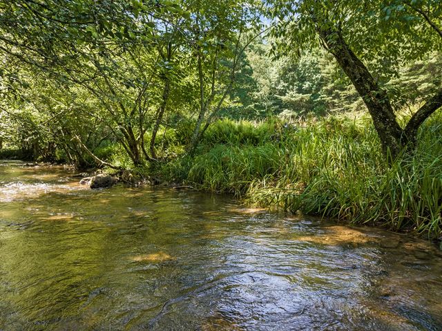 Lot 8 Tipton Court, Cherry Log, GA 30522