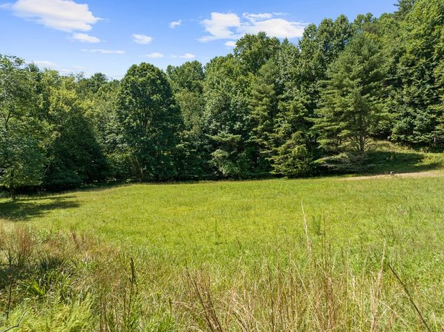 Lot 8 Tipton Court, Cherry Log, GA 30522