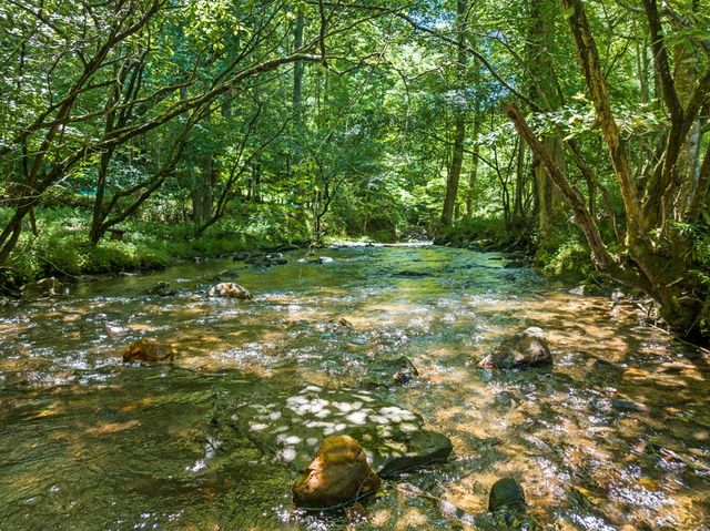 Lot 8 Tipton Court, Cherry Log, GA 30522