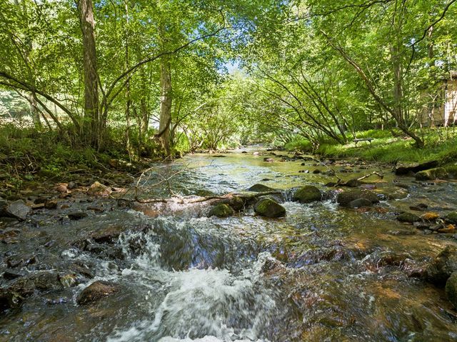 Lot 8 Tipton Court, Cherry Log, GA 30522