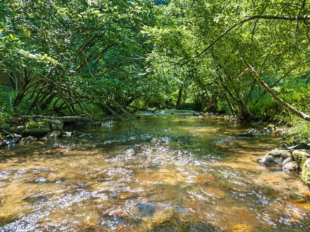 Lot 8 Tipton Court, Cherry Log, GA 30522