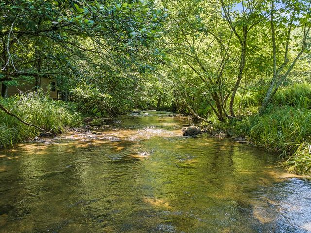 Lot 8 Tipton Court, Cherry Log, GA 30522