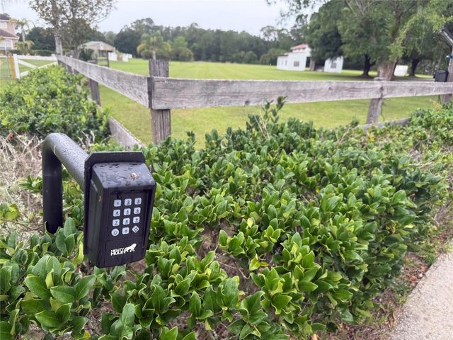31405 BEAR POND DRIVE, Sorrento, FL 32776