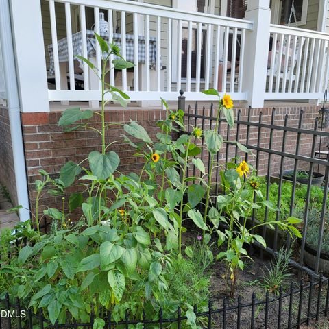 136 Kenneth Lane, Willow Springs, NC 27592