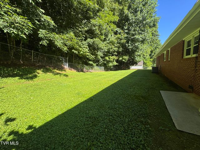 248 Burbank Road, Roan Mountain, TN 37687