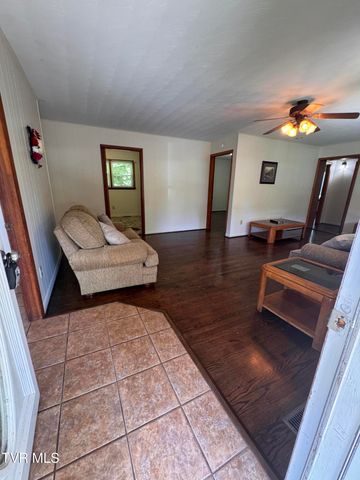 248 Burbank Road, Roan Mountain, TN 37687