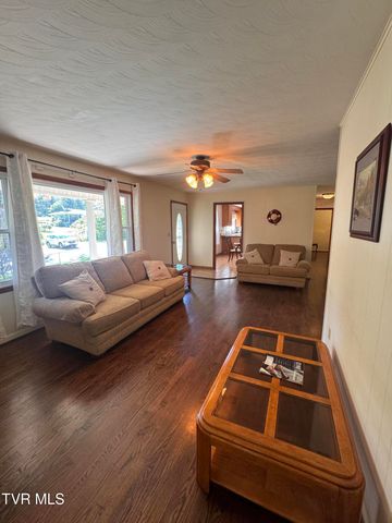 248 Burbank Road, Roan Mountain, TN 37687