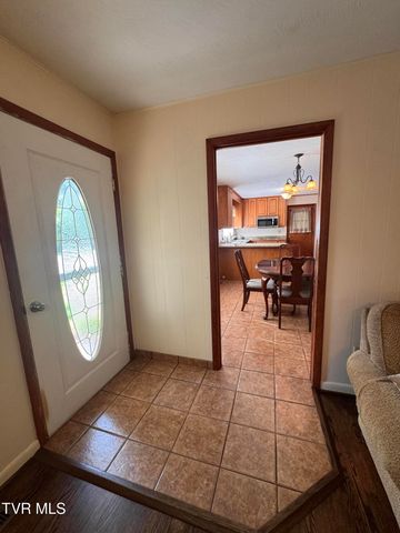 248 Burbank Road, Roan Mountain, TN 37687