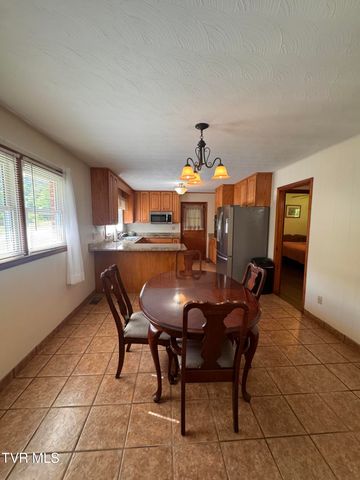 248 Burbank Road, Roan Mountain, TN 37687