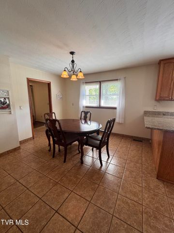 248 Burbank Road, Roan Mountain, TN 37687