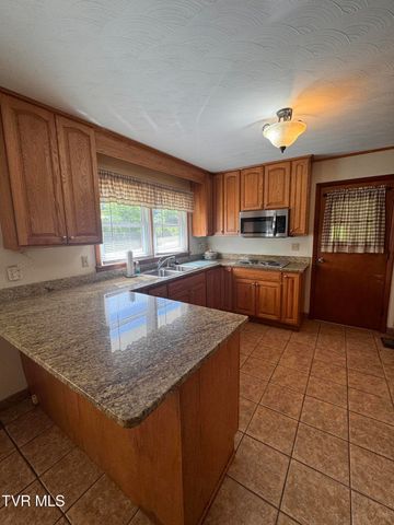 248 Burbank Road, Roan Mountain, TN 37687