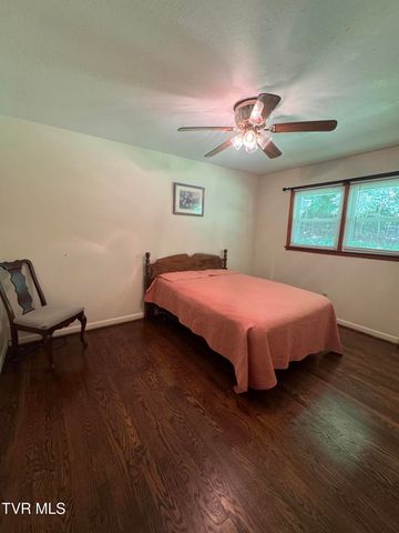 248 Burbank Road, Roan Mountain, TN 37687