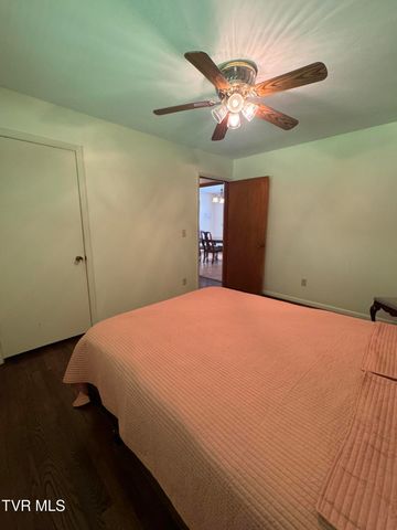 248 Burbank Road, Roan Mountain, TN 37687