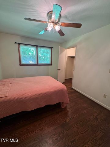248 Burbank Road, Roan Mountain, TN 37687