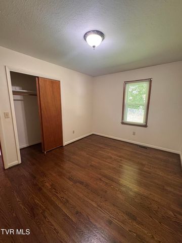 248 Burbank Road, Roan Mountain, TN 37687