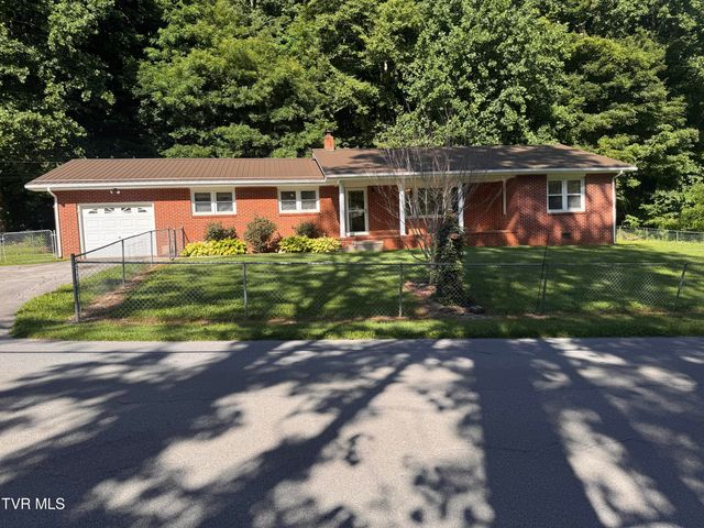248 Burbank Road, Roan Mountain, TN 37687