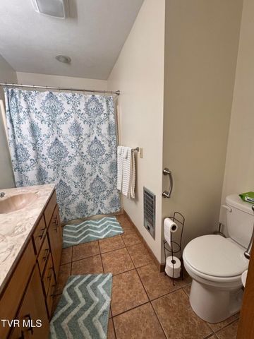 248 Burbank Road, Roan Mountain, TN 37687