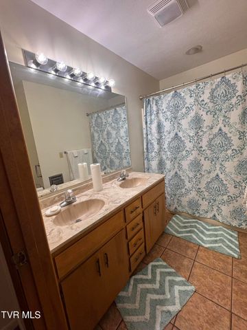 248 Burbank Road, Roan Mountain, TN 37687