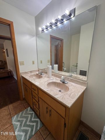 248 Burbank Road, Roan Mountain, TN 37687