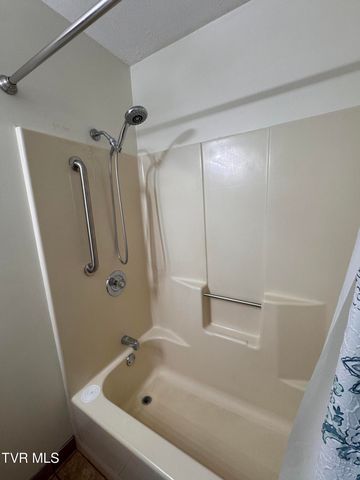 248 Burbank Road, Roan Mountain, TN 37687