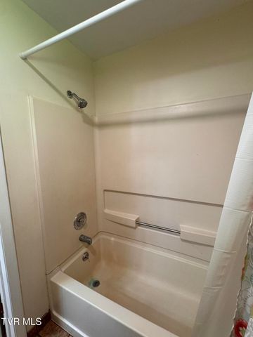248 Burbank Road, Roan Mountain, TN 37687