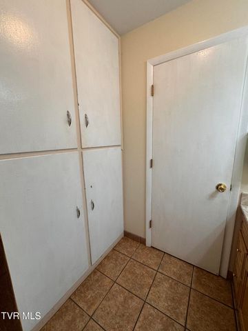 248 Burbank Road, Roan Mountain, TN 37687