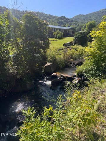248 Burbank Road, Roan Mountain, TN 37687