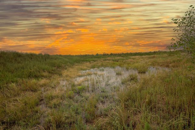 3624 CURRY ROAD 12, Melrose, NM 88124