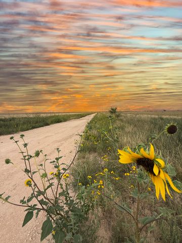 3624 CURRY ROAD 12, Melrose, NM 88124