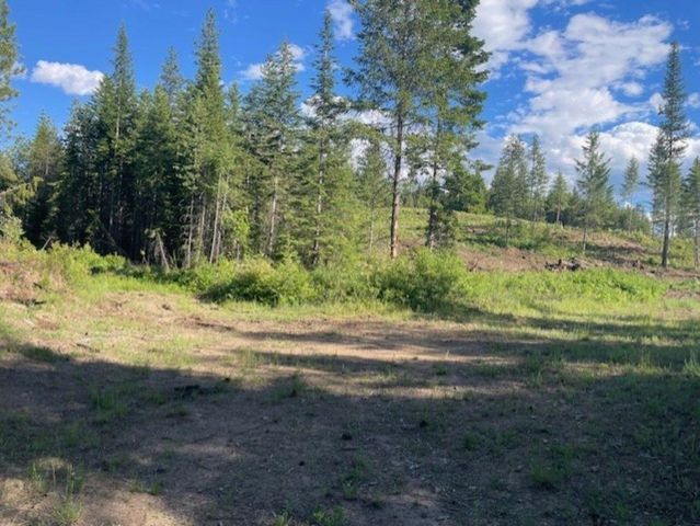 NKN Bead Lake Road Rd, Newport, WA 99156 property photo