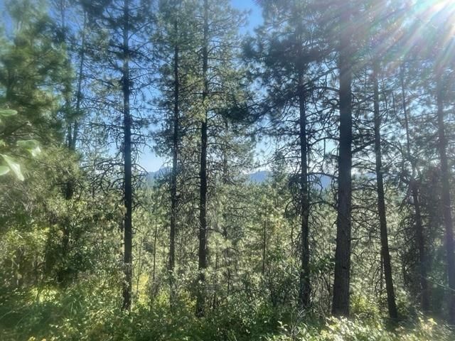 NKN Bead Lake Road Rd, Newport, WA 99156