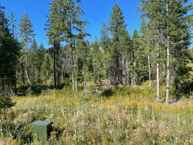 NKN Bead Lake Road Rd, Newport, WA 99156